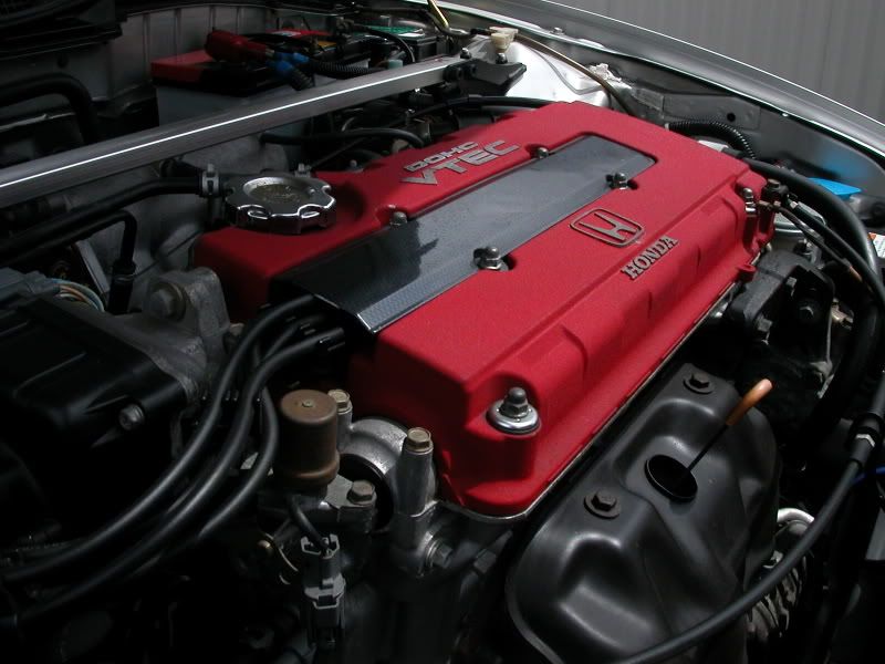 DSCN5620.jpg