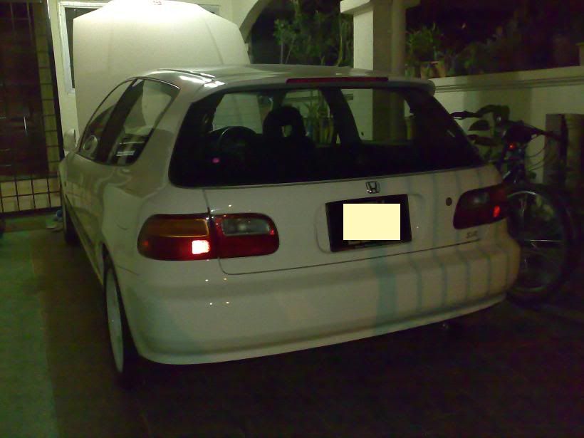 eg6_d_1.jpg