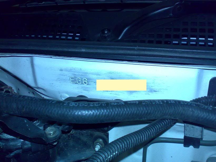 eg6_d_5.jpg