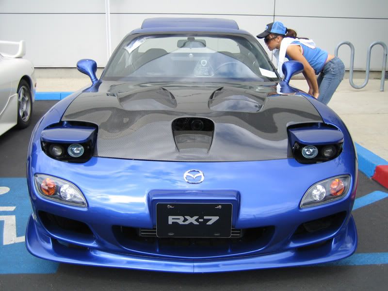 fd7.jpg