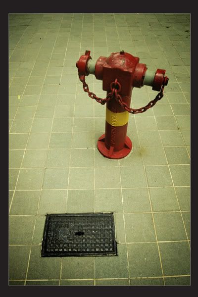 fire_salvage0000copy.jpg