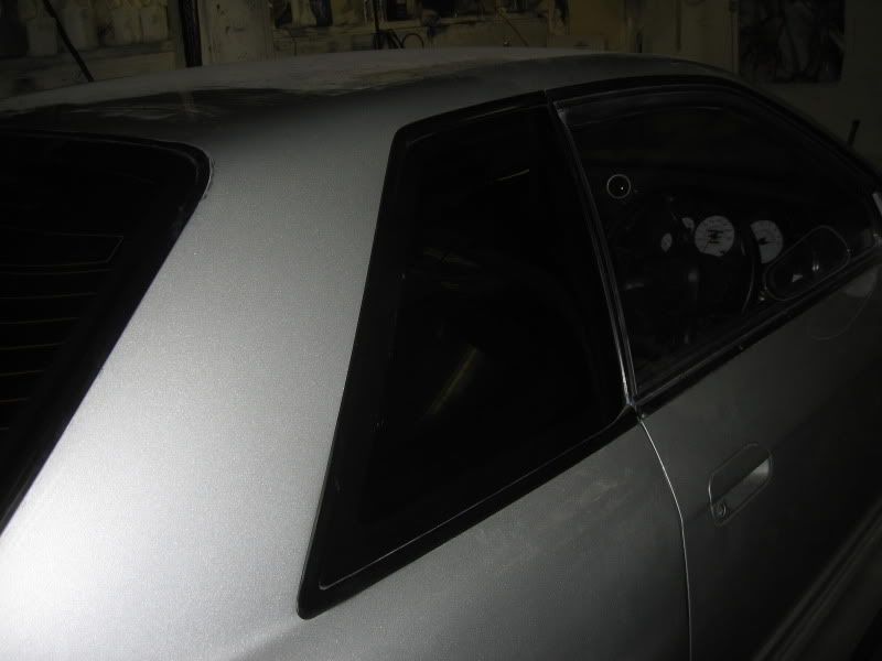 flock018.jpg