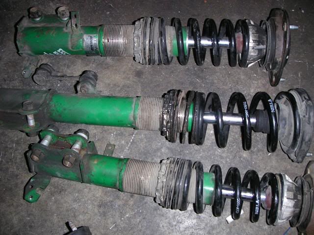 gemok1.jpg
