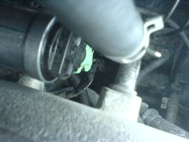 iacvplug.jpg