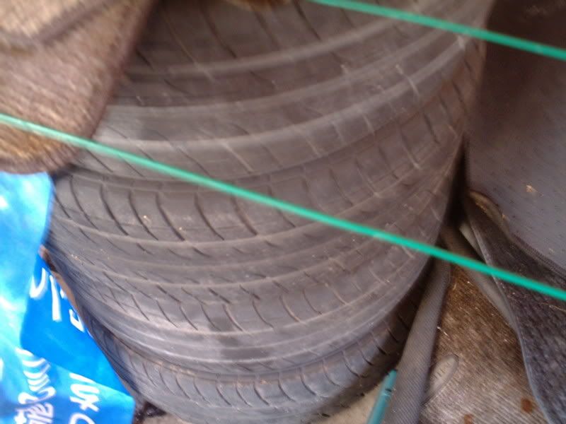 IMAG0041-1.jpg