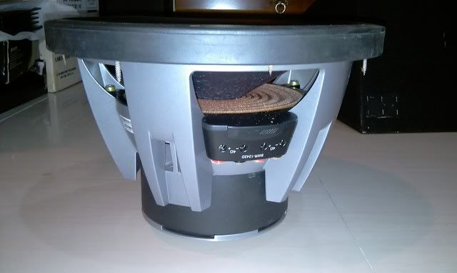 IMAG0169.jpg
