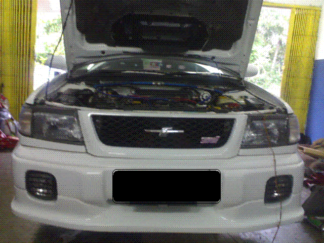 Image1752.gif