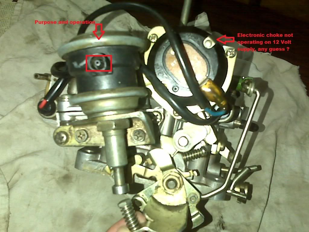 IMG00500.jpg