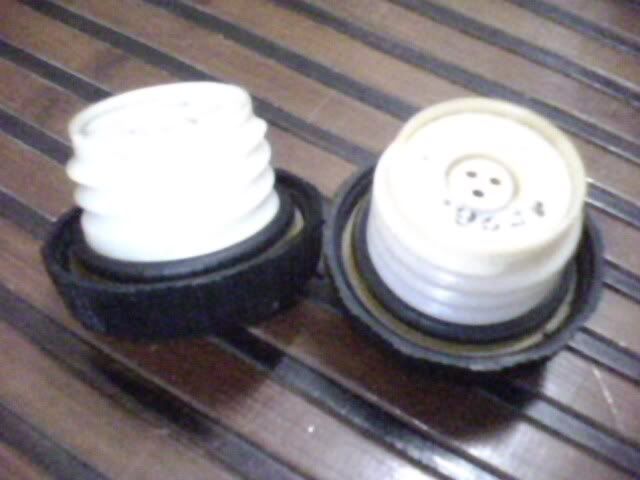 IMG0262A.jpg