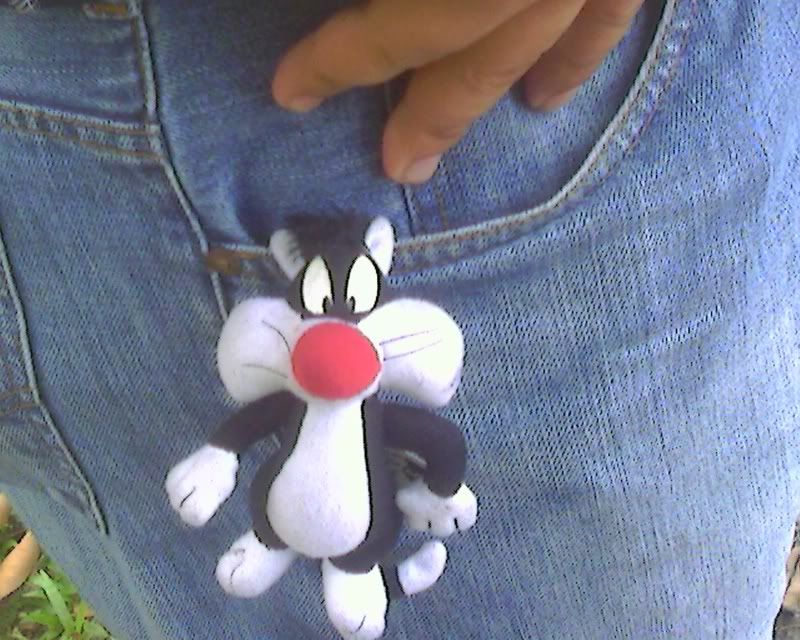 img032.jpg