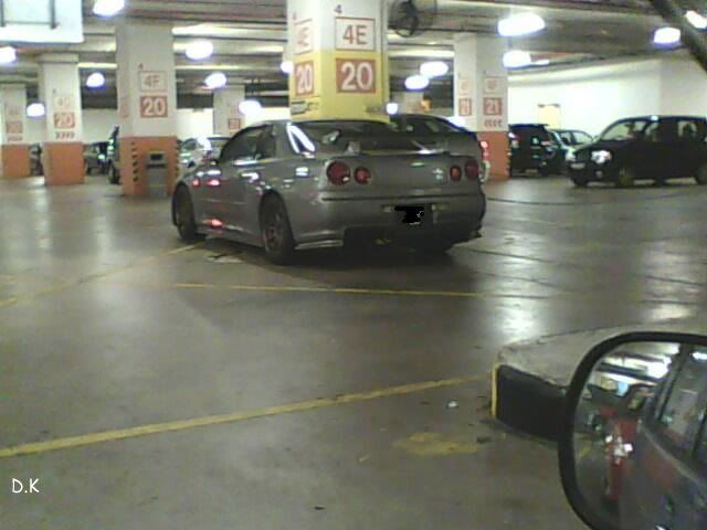 IMG0534Acopy.jpg
