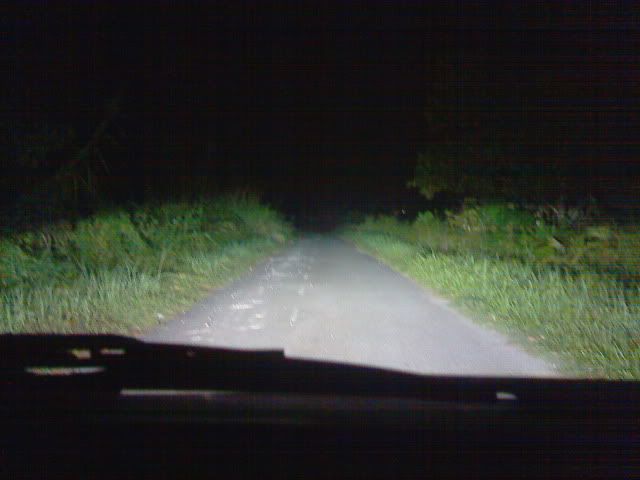 IMG062.jpg