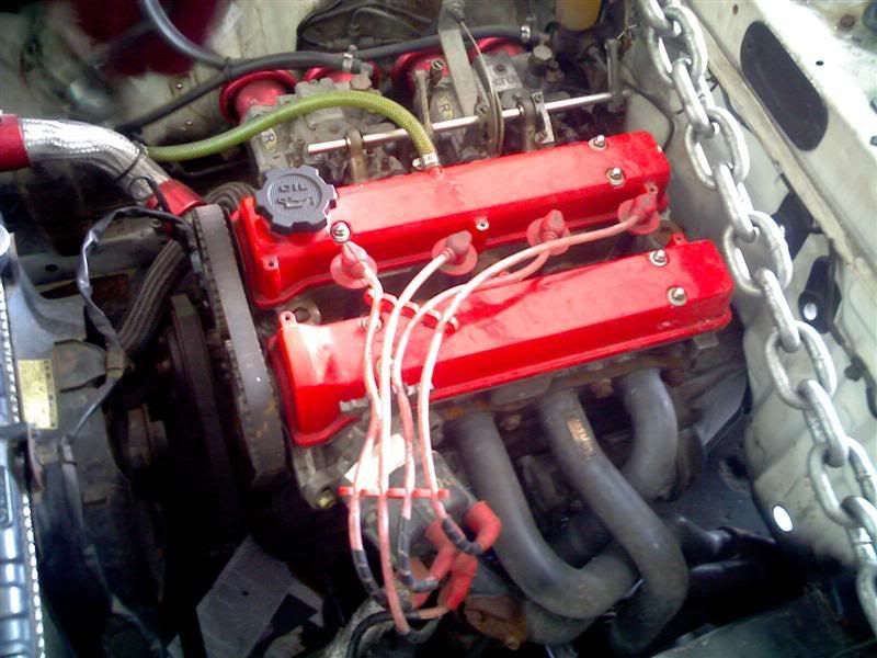 IMG123Medium.jpg