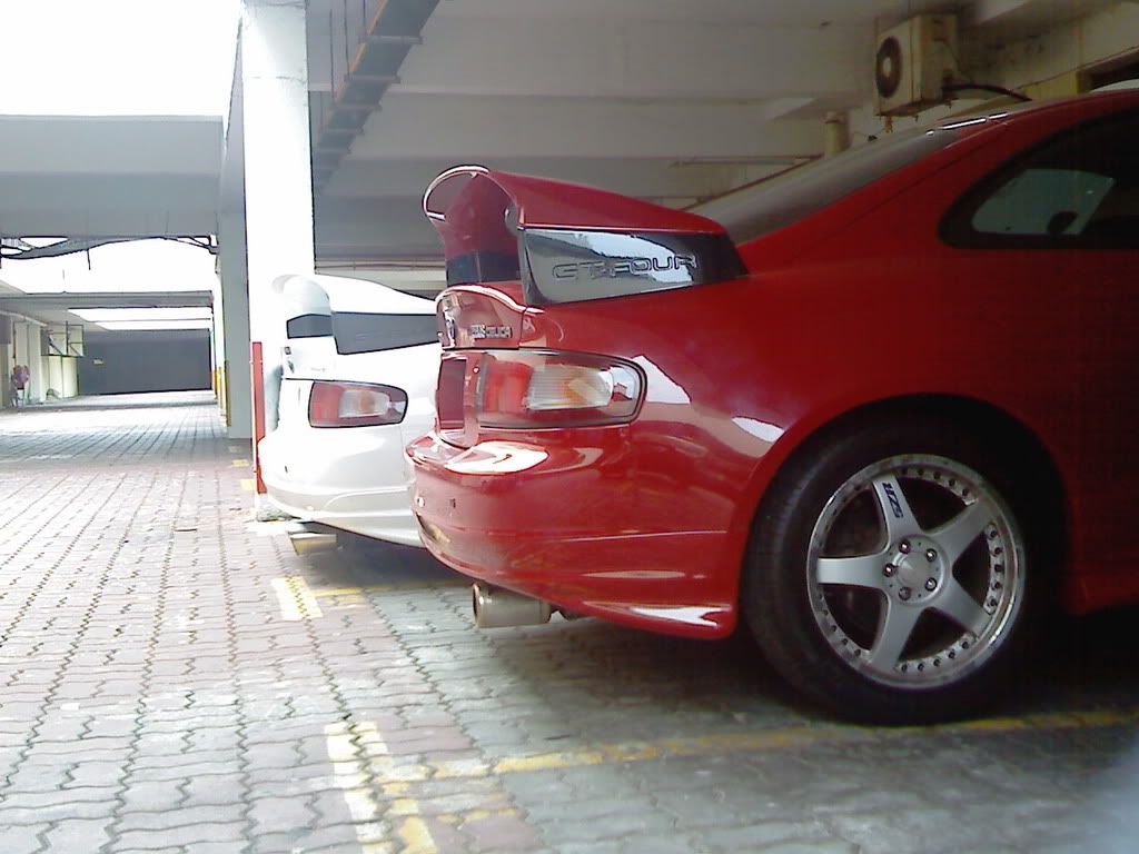 IMG293.jpg