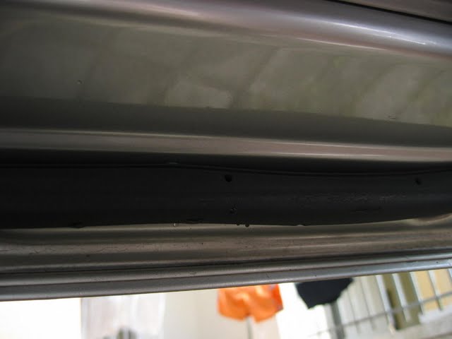 IMG_0181.jpg