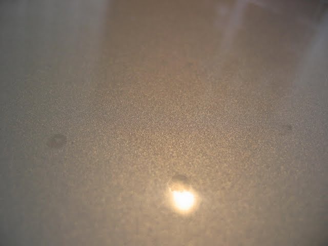 IMG_0307.jpg