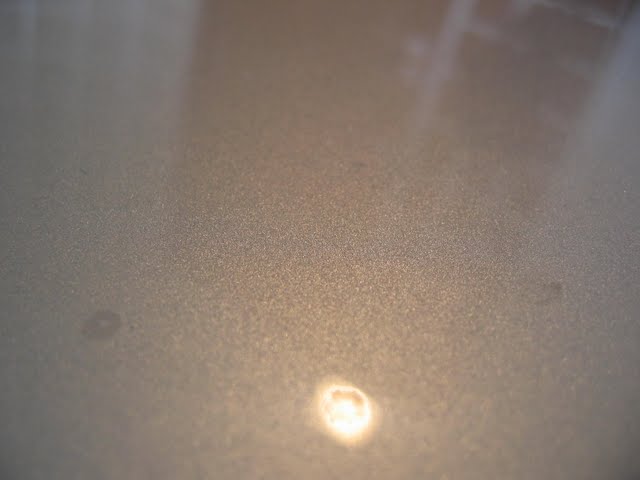 IMG_0308.jpg