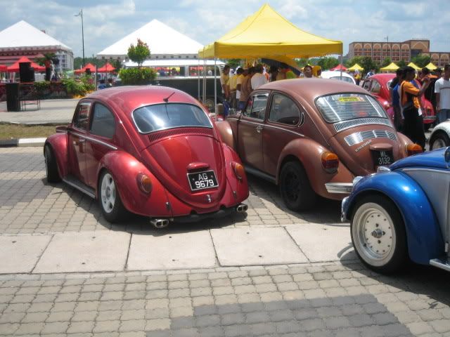 IMG_0317.jpg