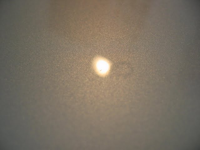 IMG_0320.jpg