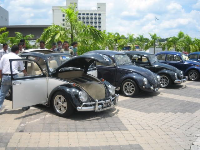 IMG_0335.jpg