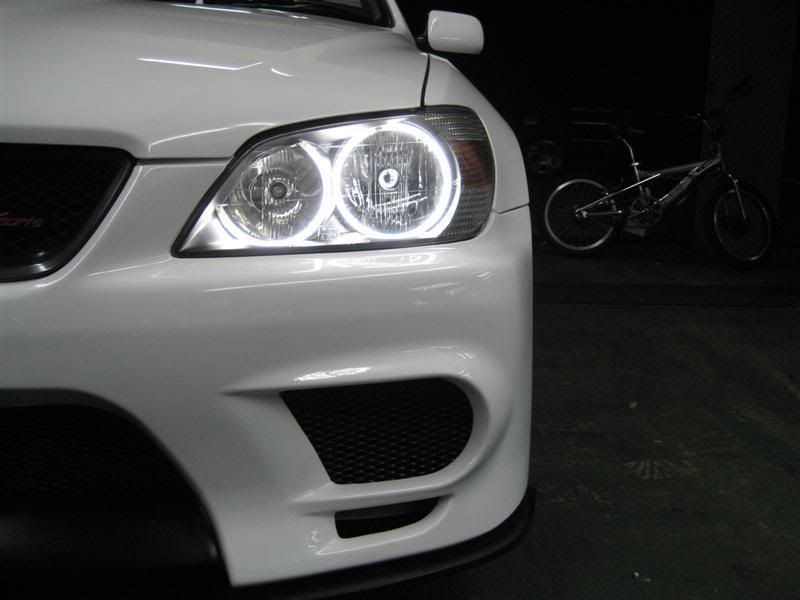 IMG_0384Medium.jpg