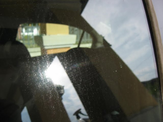 IMG_0399.jpg