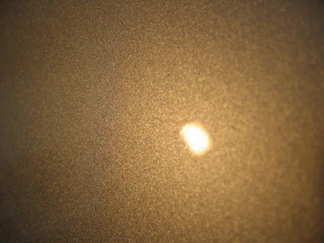 IMG_0443.jpg