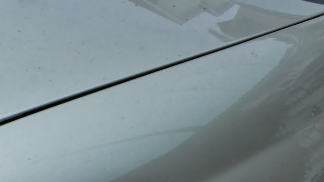 IMGA0036.jpg