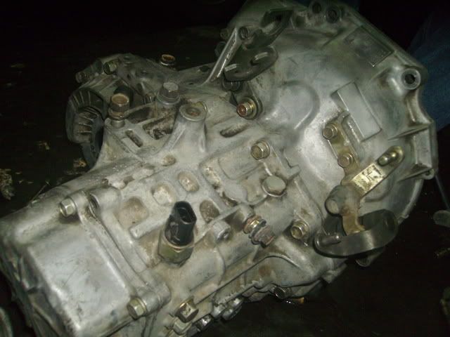 IMGP0060.jpg
