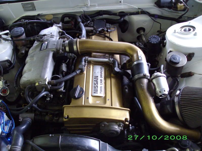 IMGP0219-1.jpg
