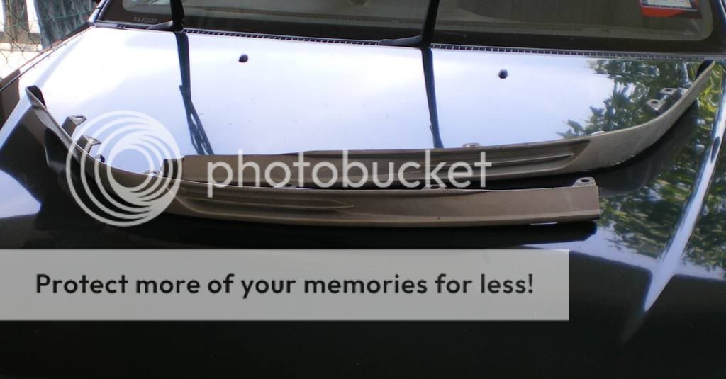 IMGP1458.jpg