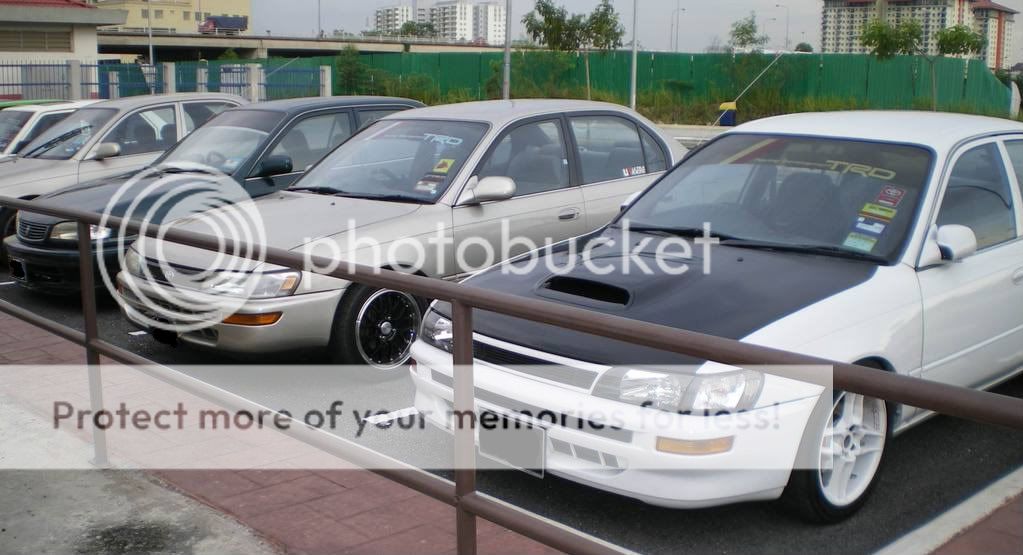 IMGP1667a.jpg