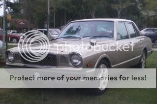 IMGP2290c.jpg