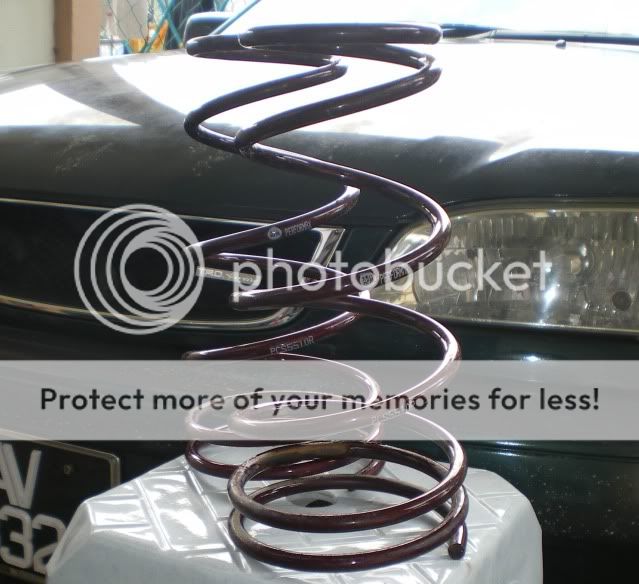 IMGP2853.jpg