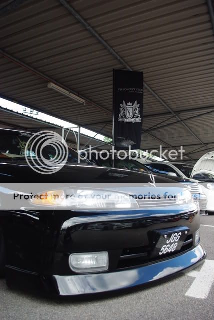 IMGP4307.jpg