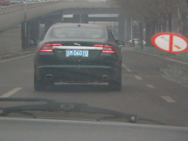 JaguarP3041173.jpg