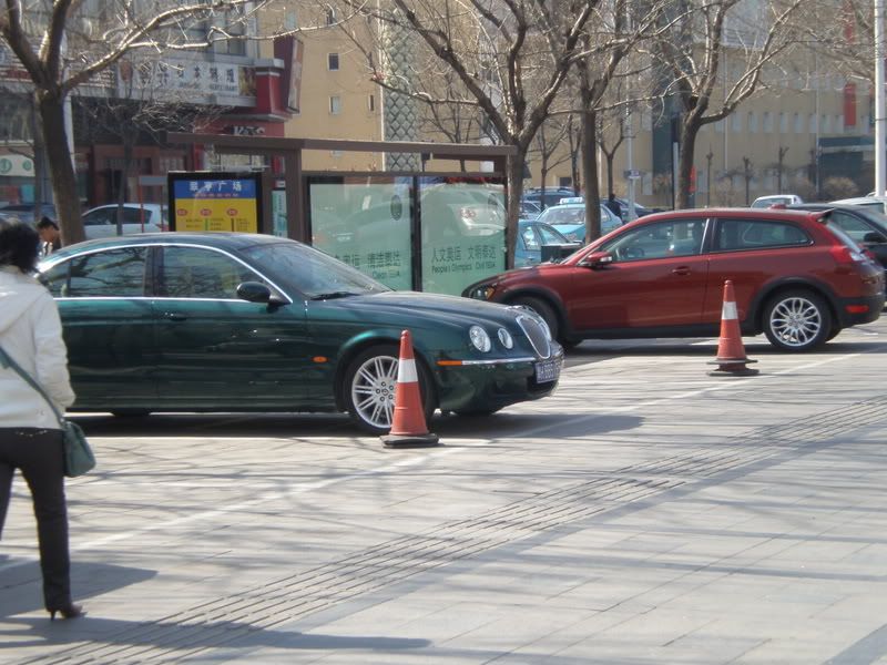 JaguarP3081267.jpg