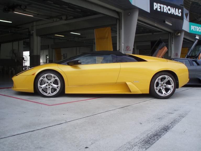 lambo2.jpg