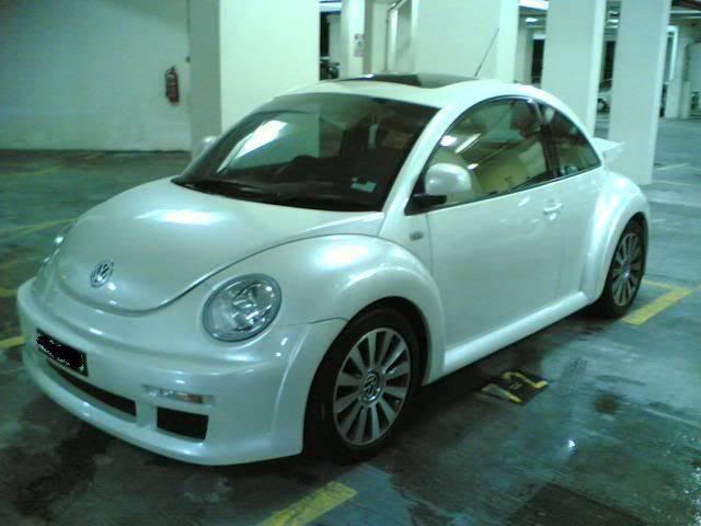 Lulu-1j.jpg