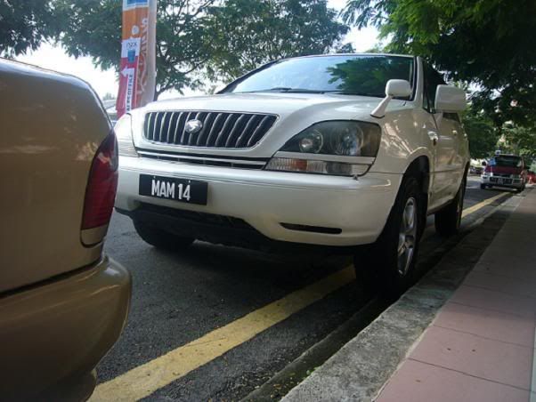 MAM14.jpg