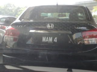 MAM4.jpg