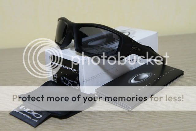 MonsterPup1.jpg