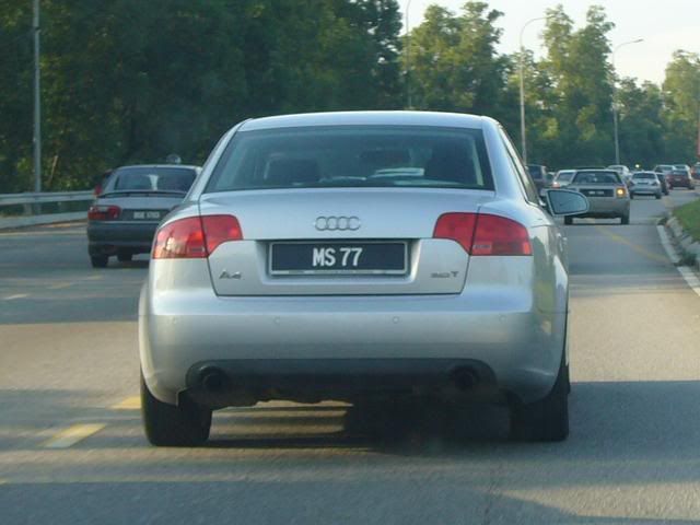 MS77.jpg