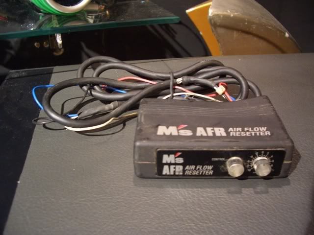 MsAFR_80.jpg