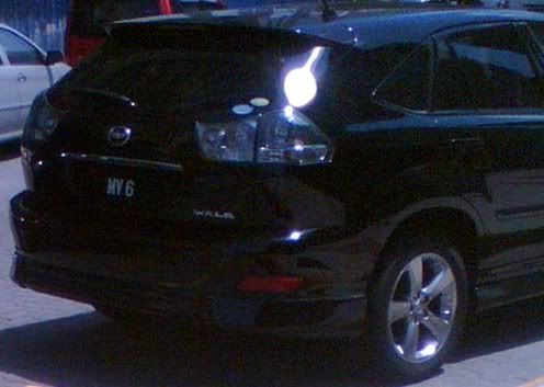 MY6-Wald.jpg