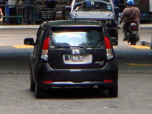 NV7-PeroduaMyvi.jpg