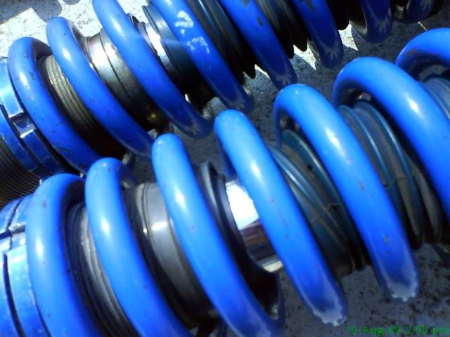 ohlins5.jpg