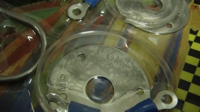 OMPbonetpinmodel289951.jpg