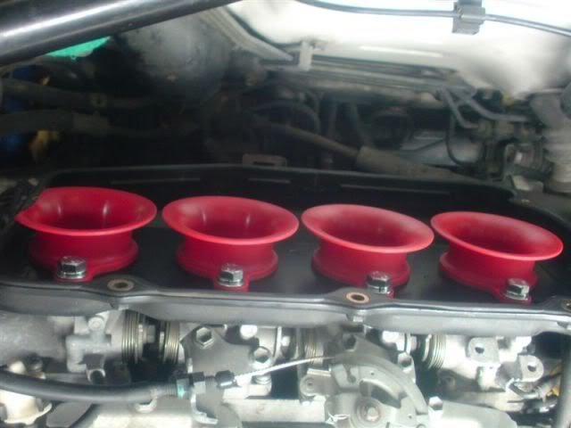 p1.jpg