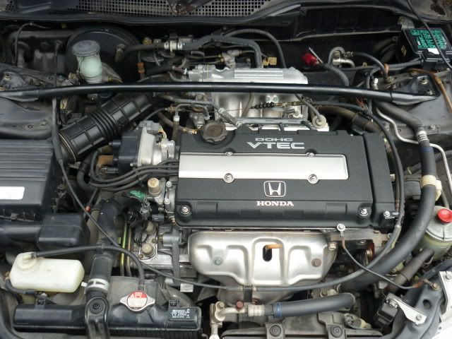 P1000019.jpg